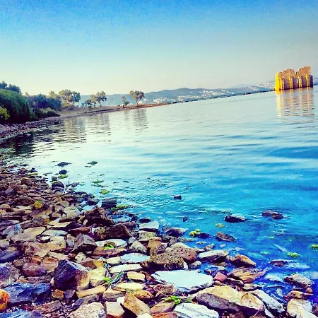 Memedim Zeynep's * Kiyikislacik