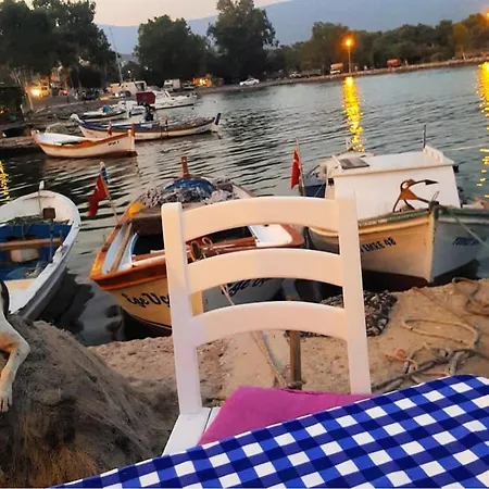 Memedım Zeynep's