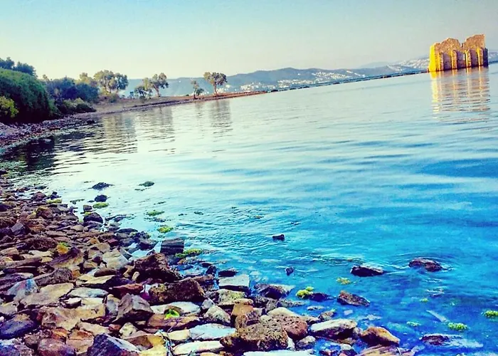 Memedim Zeynep's * Kıyıkıslacık