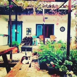 Vandrarhem Memedim Zeynep's Kıyıkıslacık