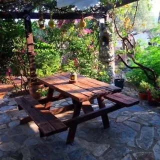 Memedım Zeynep's *