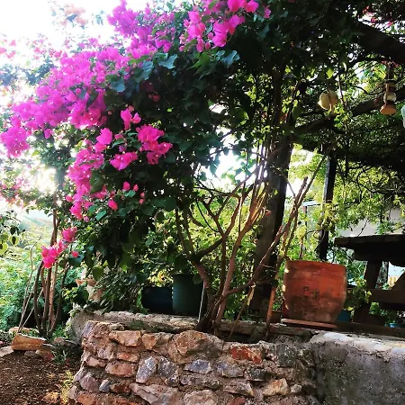 Memedım Zeynep's Kıyıkıslacık