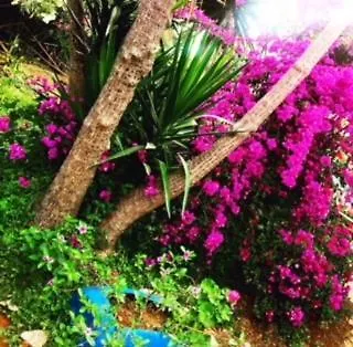 Hostel Memedım Zeynep's Kıyıkıslacık