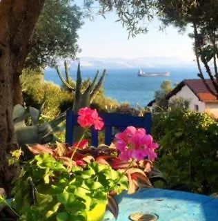 Memedım Zeynep's Hostel Kıyıkıslacık