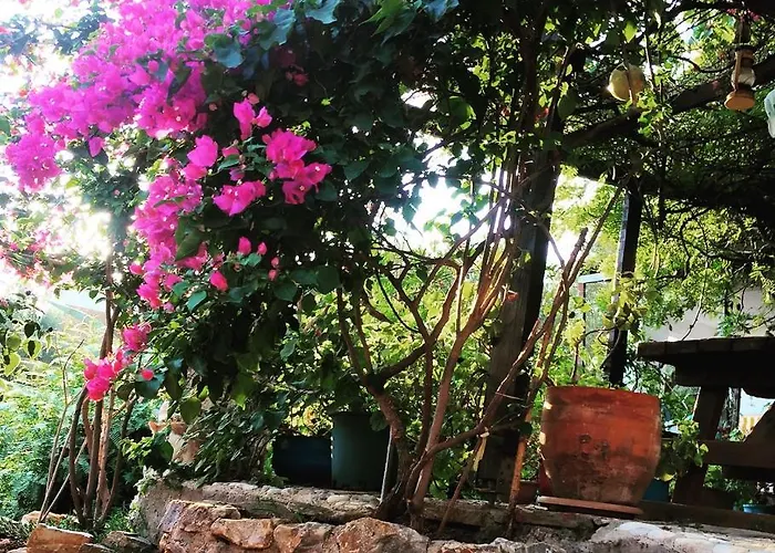 Memedım Zeynep's Kıyıkıslacık